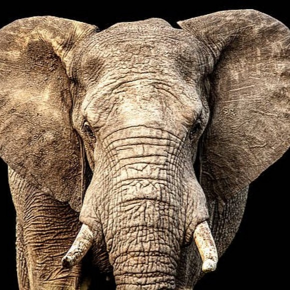 Meet your Posher, Michael - Picture 1 of 1